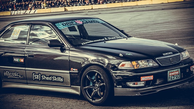 霍芬海姆展 霍芬海姆展