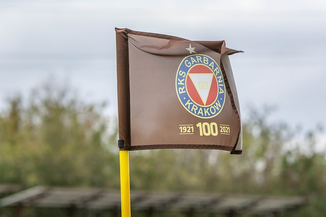 都有着实力 都有着实力