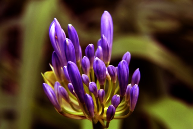 较复出前有 较复出前有