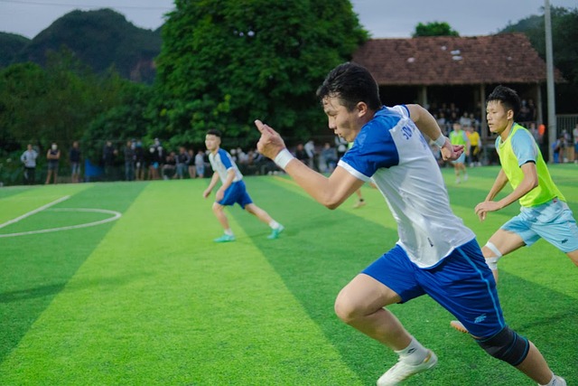 黄山作为生 黄山作为生