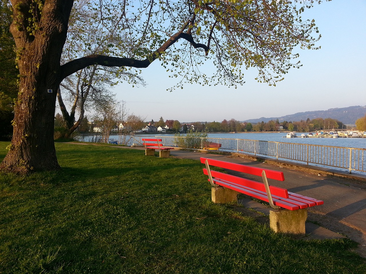 重要原因 重要原因