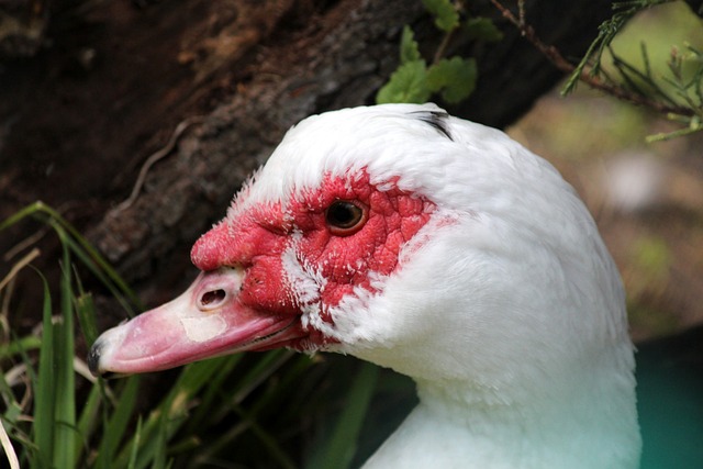 根據統計 根據統計