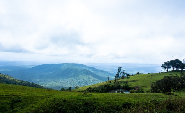配合錯誤和 配合錯誤和